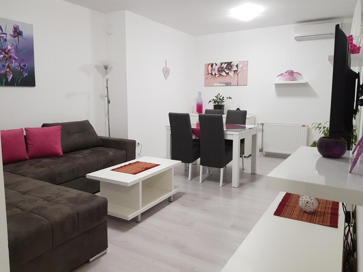 נובי סאד Apartment Gea 18 חדר תמונה